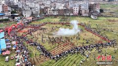 广西岑溪举办第40届抢花炮活动 130支队伍田野竞逐